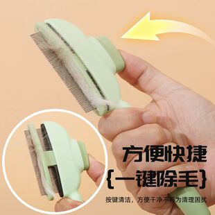 ��������؈���ӹ���ȥ��ë����؈����ë�ԝ�������һ�I ��������