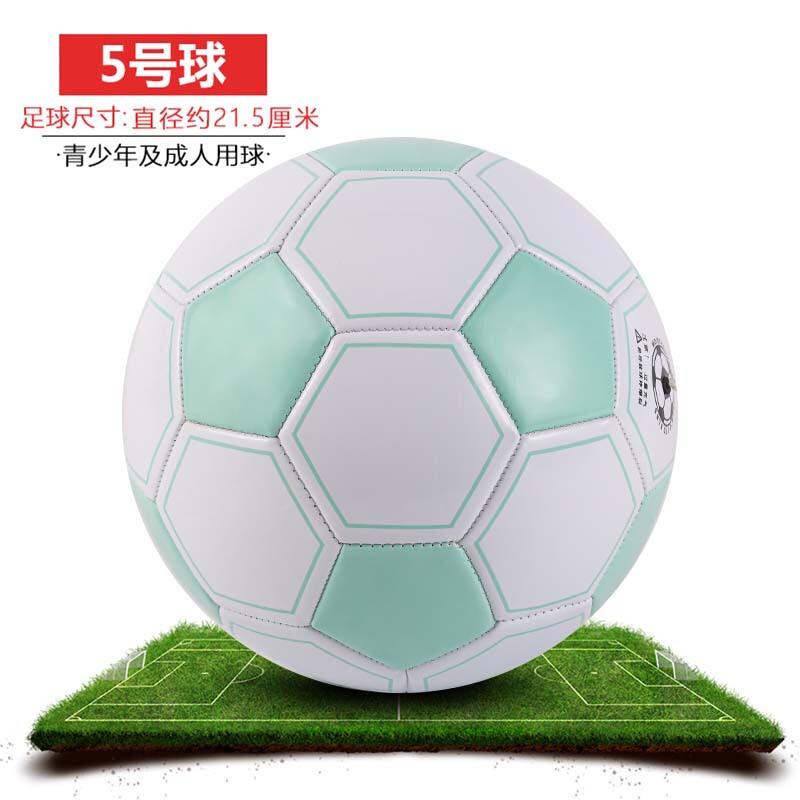 足球儿童4号小学生专拥3号宝宝幼儿5号成人四号真皮迷你比赛专业A|undefined