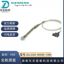 T6SL3260-4NA00-1VB0 V90ϵ MbOֵ| B