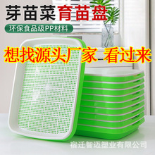 һ����ѿ����P�߲�ˮ��С���Nֲ�㶹������ѿ��P����P�o������