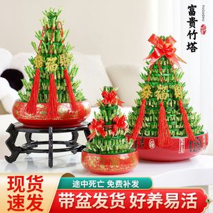 �����߸��F��ˮ���҃����Ի���ֲ�������D�\�lؔ���k���҃����՚�