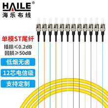 电信级光纤跳线FC单模12芯束装尾纤 分纤箱ODF配线架专用
