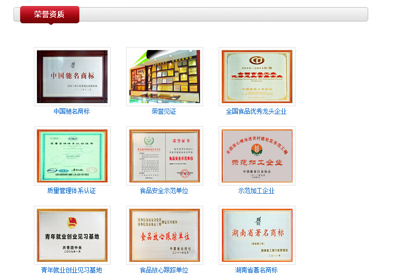 5-荣誉资质.jpg