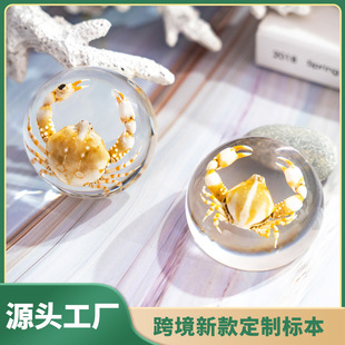 �挍�з�˱��羳���u�������x��֬��ˇ��ͯ�̌W�YƷ�ЌW�[�����l