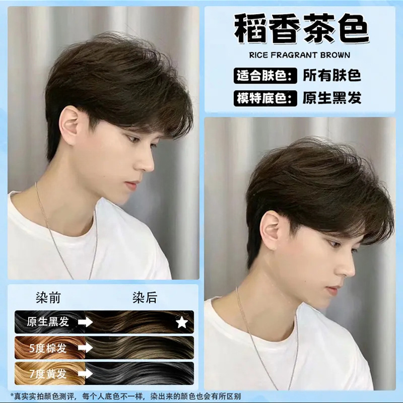 Daoxiang 차 색상 (상자-) 단색 머리 필름을 보내-표백 직접 염색 없음