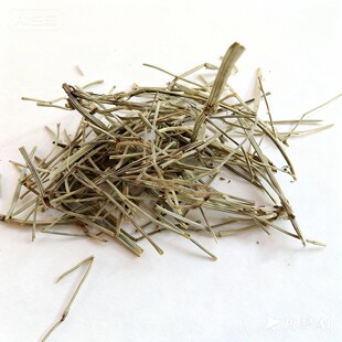 ��ș�� ���G  ���Ӳ� ���Ĳ� �R��� ������500��horsetail