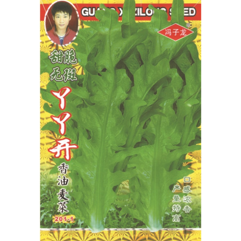 冯子龙厂家直售批零基地大棚四季种植   脆香丫丫开甜油麦（201-1