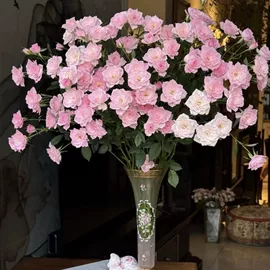 盆栽;装饰花瓶;花盆容器