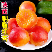 陕西胭脂红杏4斤新鲜水果应当季杏子甜核现摘大红杏甜仁饱满鲜嫩