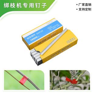 ��֦�C��ӽ����C604C��������t���S�ϽY���C�����C�z���������