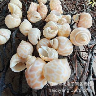 ��ɫ�|�L�� �ľ�з�Q�� ��Ȼؐ������ DIY�ֹ����� �~�׻�c�b�