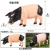 HZJM093 female Jinhua pig