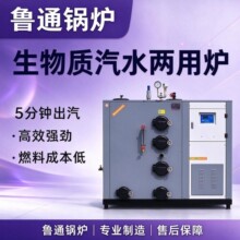 生物质颗粒蒸汽锅炉 食品蒸煮药材烘干酒店采暖 工厂供汽供热暖炉