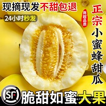 ����ɽ�|С�۷�����20���5�������f�S�CС�۹ޮ���ˮ����ϰ�