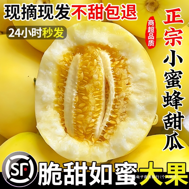正宗山东小蜜蜂星甜20甜瓜5斤脆甜快递随机小蜜罐当季水果香瓜包