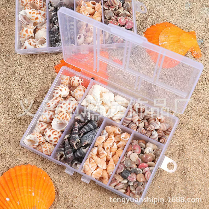跨境盒装小海螺 钉螺材料包 花螺 DIY饰品鱼缸布景道具手链材料