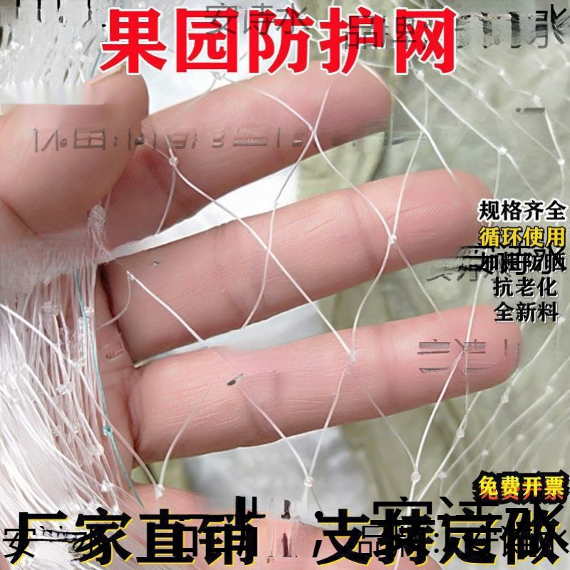 嘉宝防鸟罩果树防鸟网枇杷树葡萄园树尼龙网拦垒樱桃树鸟德株挡