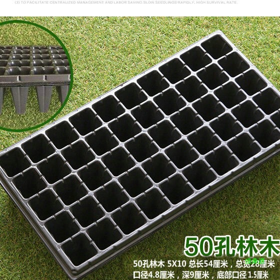穴植えポット、苗ポット、苗穴、苗トレイ、苗トレイ、箱苗トレイ、多肉植物苗トレイ|undefined