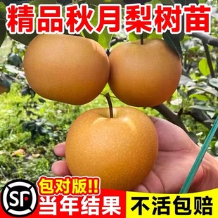 �����箔��Y�����ڼ޽������������ϱ����Nֲ���Ե������Ә�