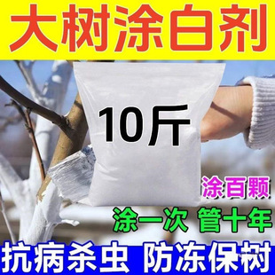 ����T�ׄ���ʯ��τ��ɇ��Tˢ��۴���ˢ�׷�����ů���x������