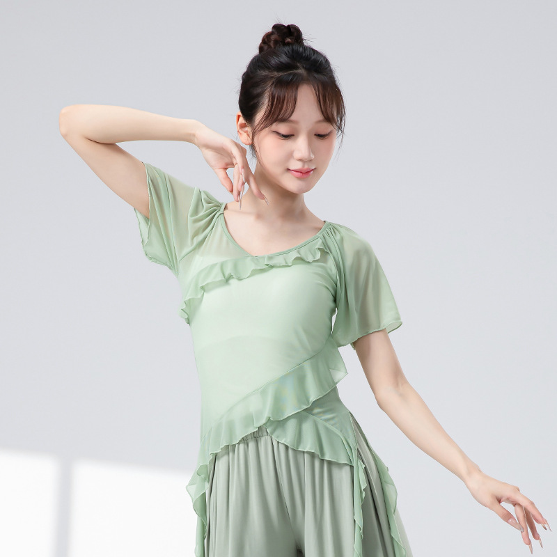 女性用の新しいクラシックダンス服、フリル半袖弾性メッシュトップ、中国モダンダンスボディリズム練習服|undefined