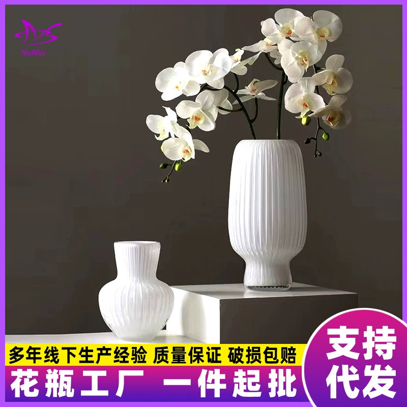 Современная минималистская белая фарфоровая стеклянная ваза из стекла гидропонная цветочная композиция декоративная декоративная декоративная форма