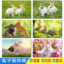 可爱兔子海报动物生肖早教图片小白兔小灰兔儿童房装饰不干胶贴纸