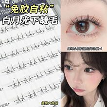 faiccia�½�ë���zСҰ؈������Ȼ���������޵껯�y�����üٽ�ë