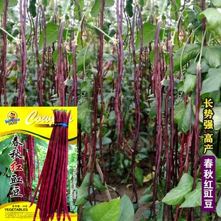 ���L����t�����N���Ͻ��Ѻ��m������ןo��ü�����ļ����͟Ό��