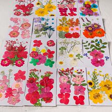 �ɻ�����diy���ϰ�Ѻ����������~ֲ��˱����z�֙C���ֹ��NĘ�y