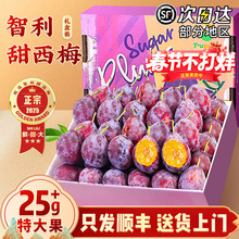 ������÷���r�M�ڼ��g���m���t���Ӵ����S�������� 18-25g ���