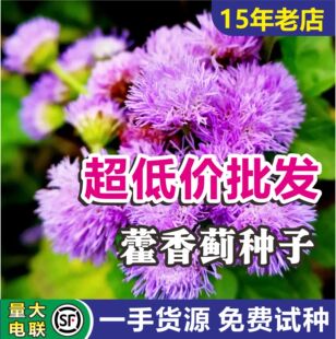�F؛޽���E���N�Ӿ��^�������^���������^�p�N�ѹ��̾G���N������