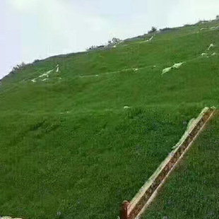 ���X���ļ����G���ش����R������Ľ��̨����ƺ�ߠ��������ƺ