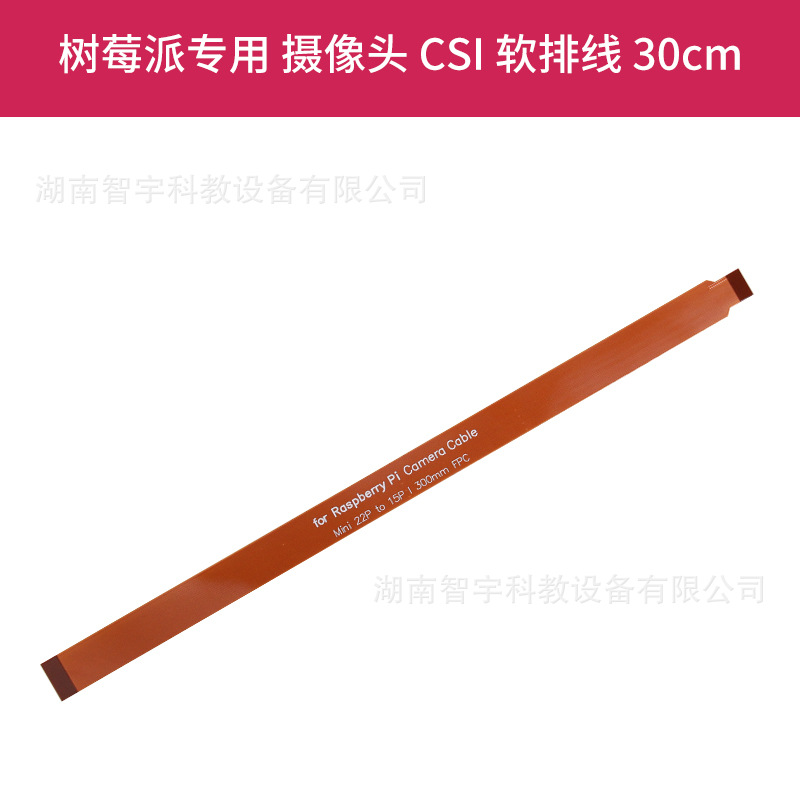 Standard CSI flexible cable -300mm