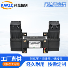 51-02PM2������˫ͷ��ˢС�͸�ѹ�� 24V����ĤƬ����������