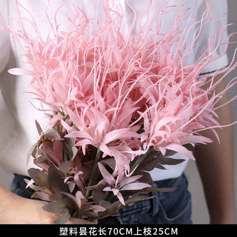Three generations of single branch plastic epiphyllum