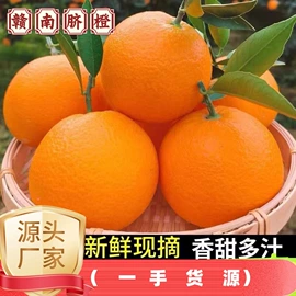 西式糕点;饼干;方便面类
