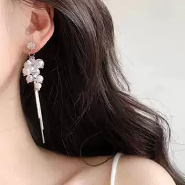 耳环;耳钉;项链