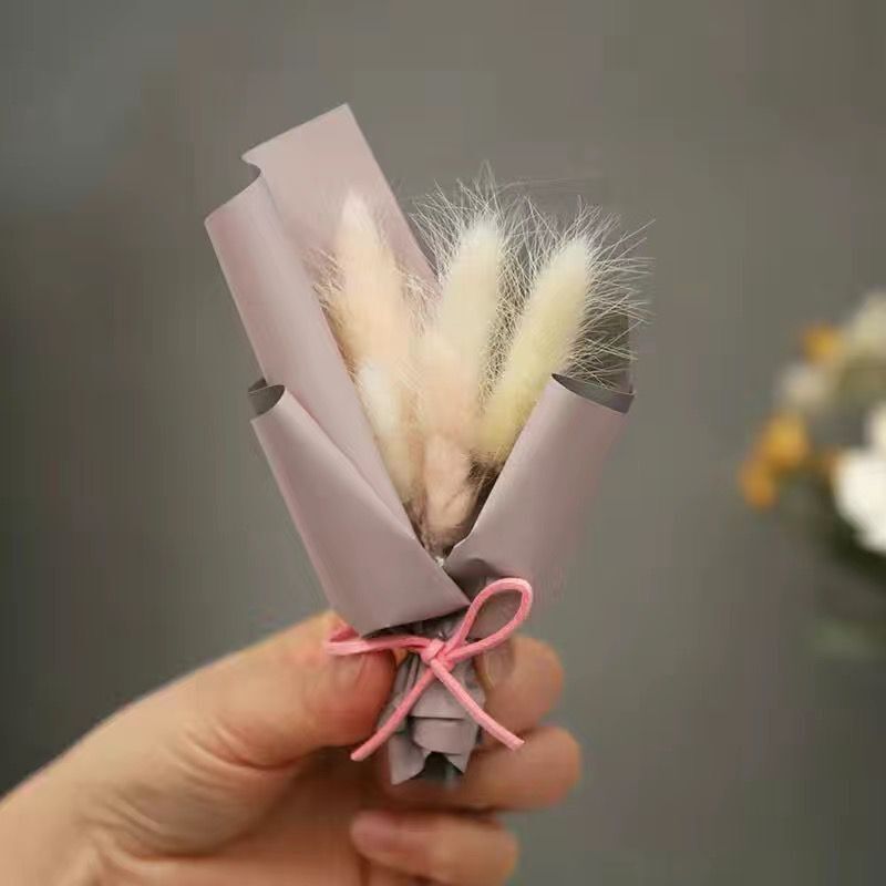 토끼 꼬리 미니