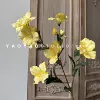 Cuckoo yellow