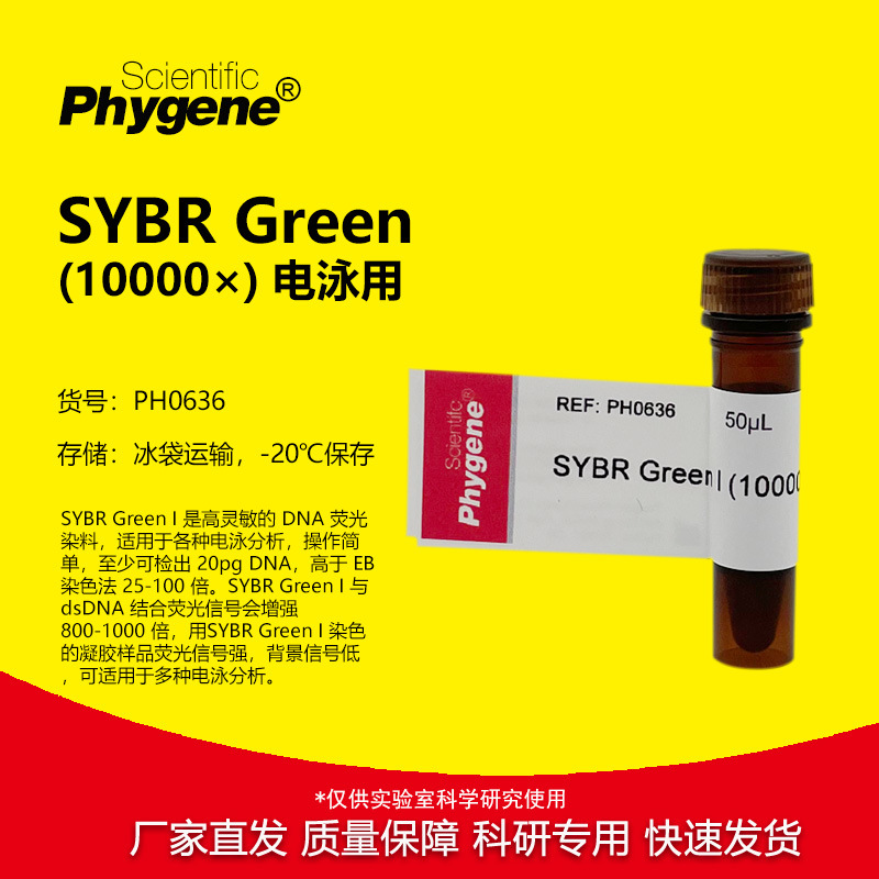 SYBR Green I (10000×) 核酸电泳 核酸染料 50uL PH0636 PHYGENE