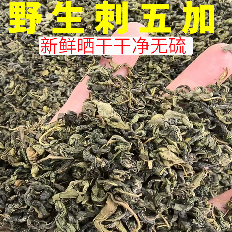长白山刺五加嫩叶新茶吉林东北特产100克新货野生刺五加叶茶绿茶