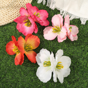 �����m��ޥ�m����A����l����l�����m�����^���l�