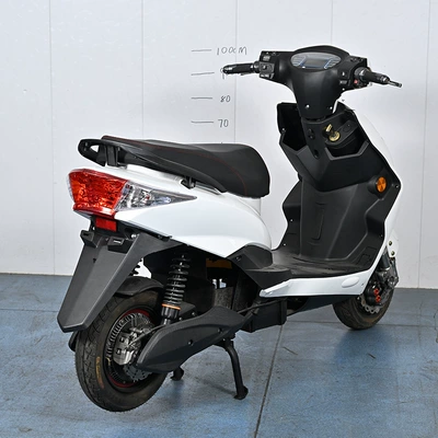 Customization to Foreign Countries, Elektrikli motosikletlər
