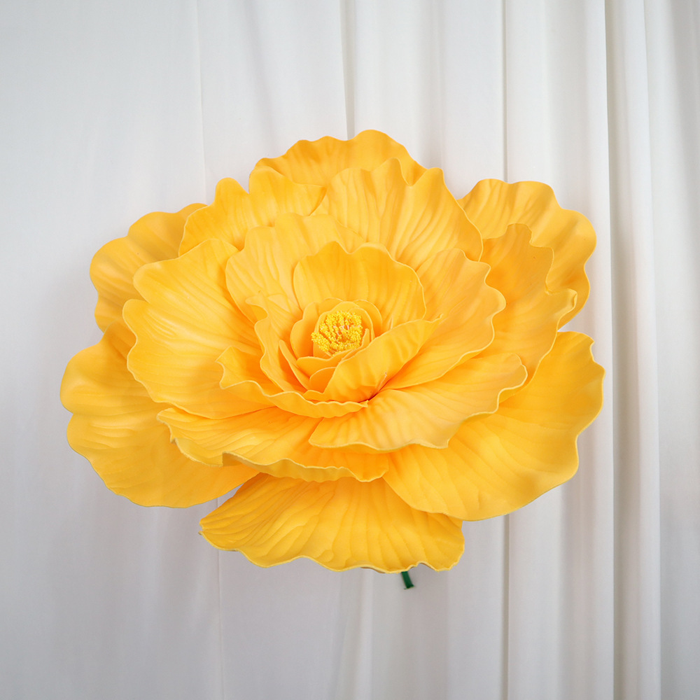 오렌지 약 50cm