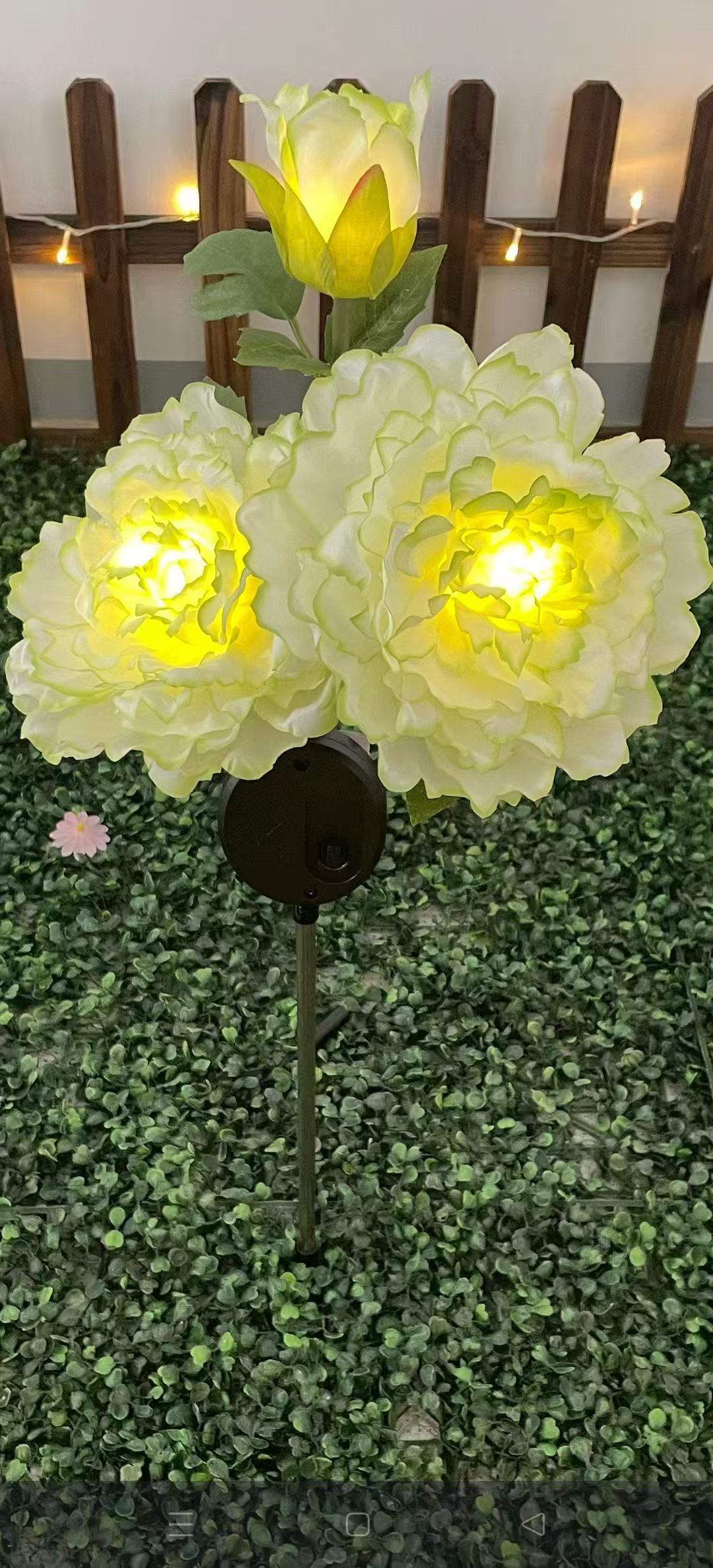 Lámpara solar transfronteriza