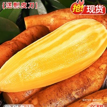 �����ɽѩɏ��10�����rˮ�������F�ڴ���t��ѩ�B���r��������