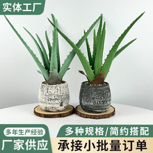 ܛ�z�J�C�����҃ȃ����՚⻨��ֲ����BС�辰�������Gֲ���l