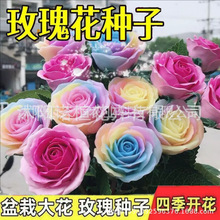 �tõ�廨�N�� �Gֲ���Ի����r���N�����Ե����ļ��N��õ��N200��