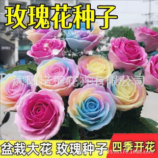 �tõ�廨�N�� �Gֲ���Ի����r���N�����Ե����ļ��N��õ��N200��